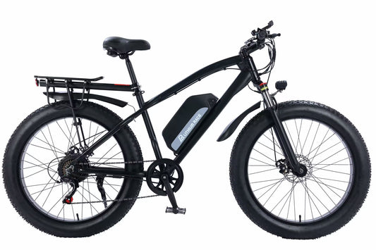 High quality super cool electric bike powerful E-bike fat tire ebikes snow electric bicycle for gift